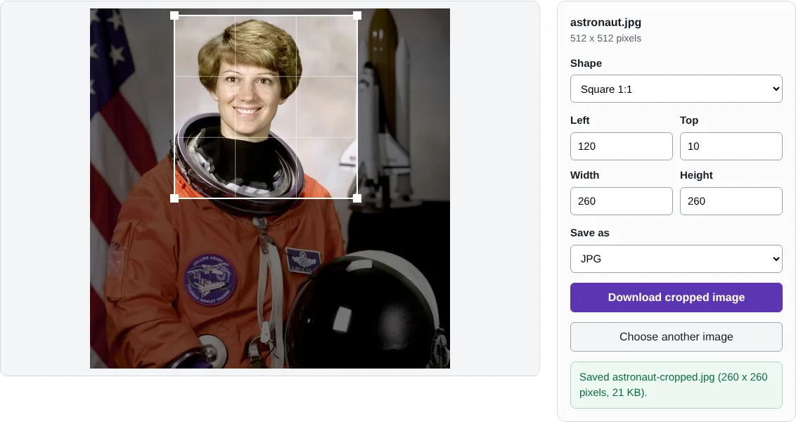 The crop tool showing a square crop box around the face of an astronaut portrait, with the area outside the box darkened and number fields for the position and size.